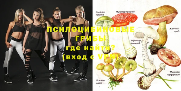 меф Горняк