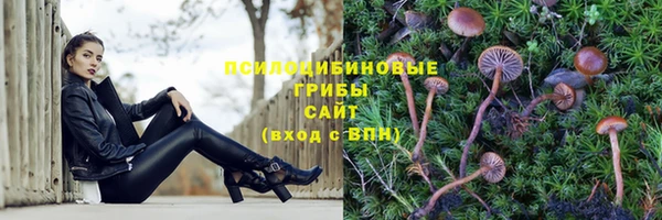 а пвп мука Балабаново