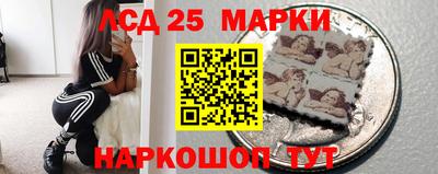 молекула духа Гатчина