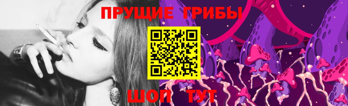 закладка  Вход с VPN  Тулун  Галлюциногенные грибы Psilocybine cubensis 